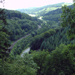Der Kondelwald in der Eifel