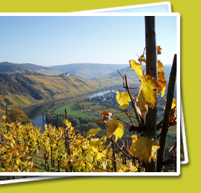 Herbstlicher Blick auf Pünderich, vom Reiler Hals aus gesehen