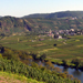 Aussicht auf die Marienburg und Pünderich im Herbst